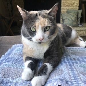 Meet your Posher, Miranda